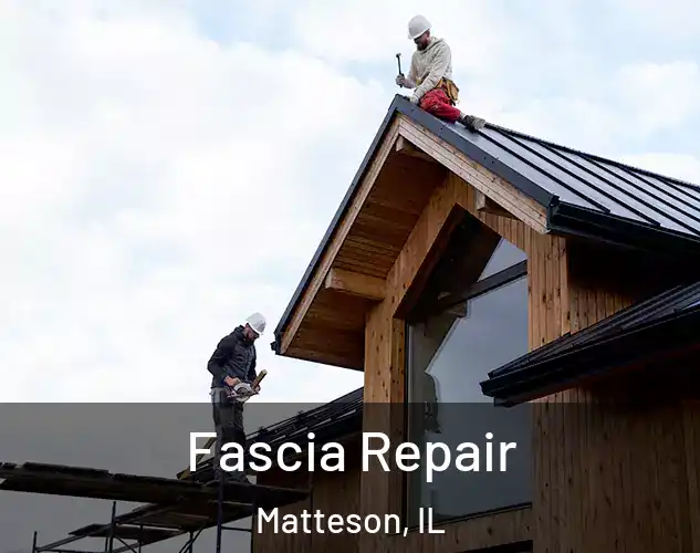  Fascia Repair Matteson, IL