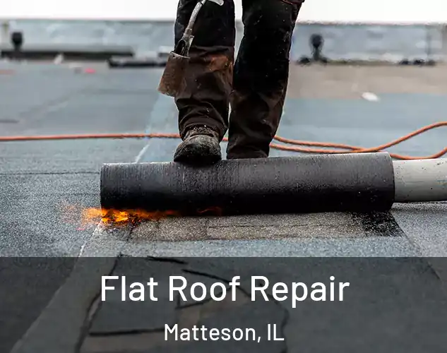  Flat Roof Repair Matteson, IL