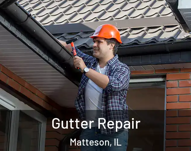  Gutter Repair Matteson, IL