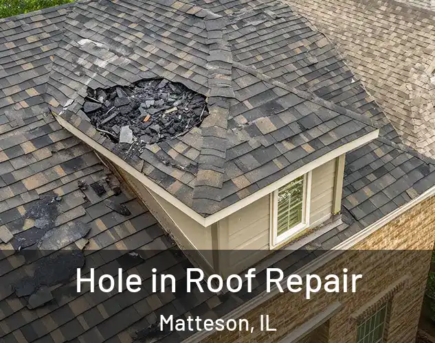  Hole in Roof Repair Matteson, IL