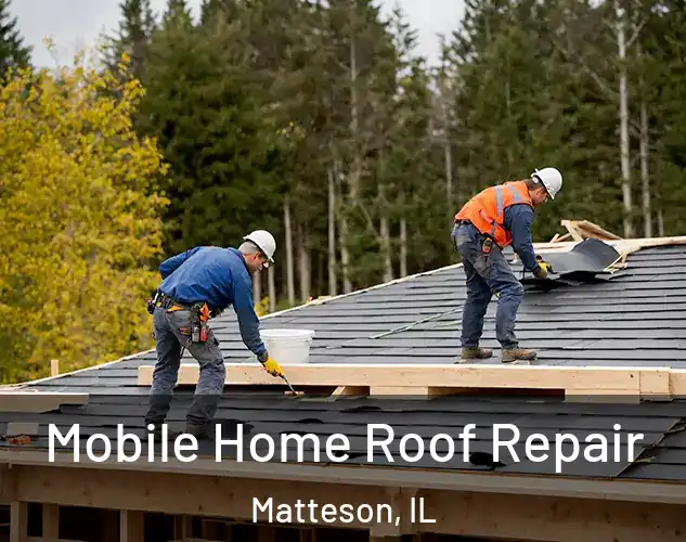  Mobile Home Roof Repair Matteson, IL