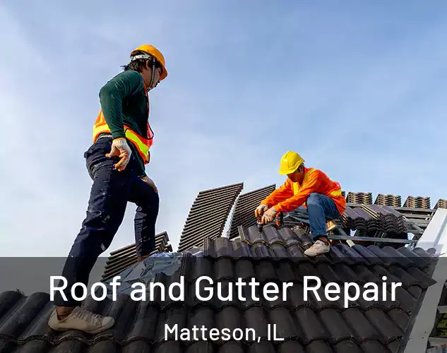  Roof and Gutter Repair Matteson, IL