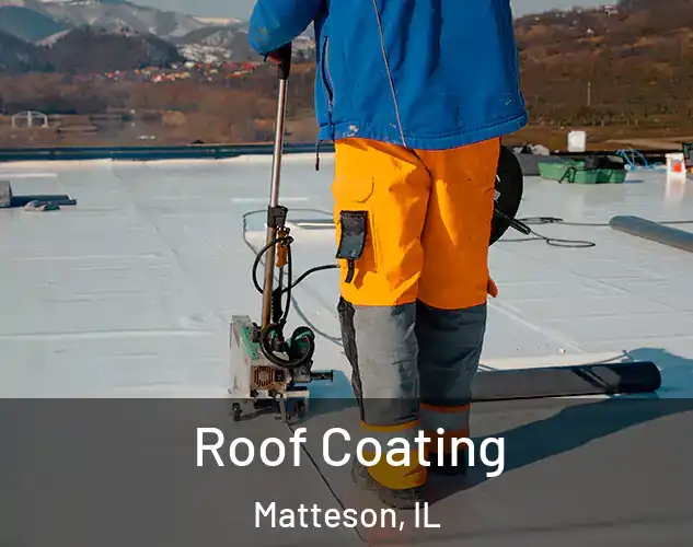  Roof Coating Matteson, IL