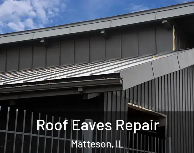  Roof Eaves Repair Matteson, IL
