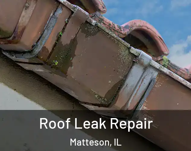  Roof Leak Repair Matteson, IL