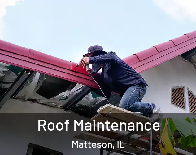  Roof Maintenance Matteson, IL