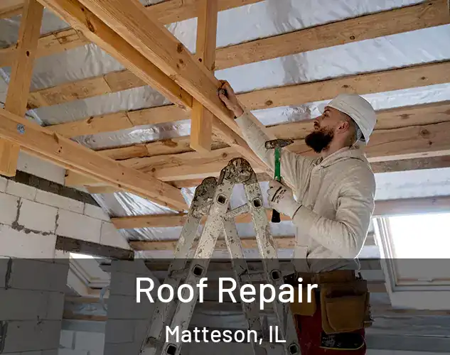  Roof Repair Matteson, IL