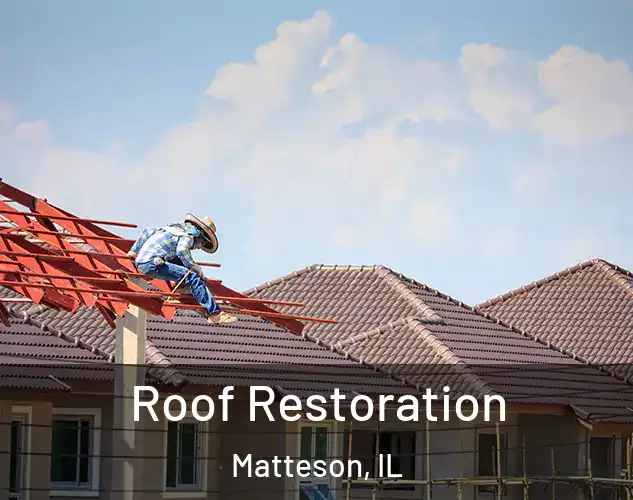  Roof Restoration Matteson, IL