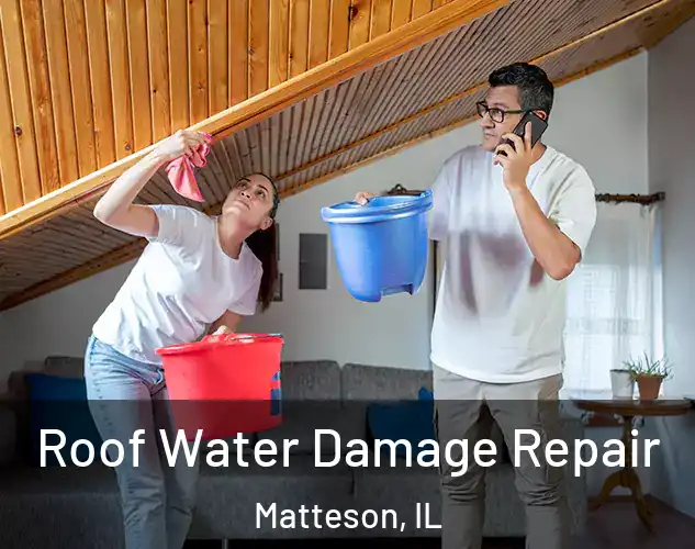  Roof Water Damage Repair Matteson, IL