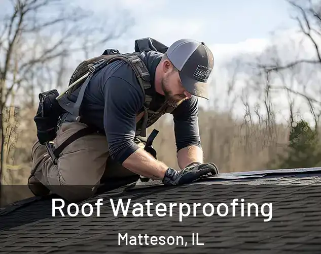  Roof Waterproofing Matteson, IL