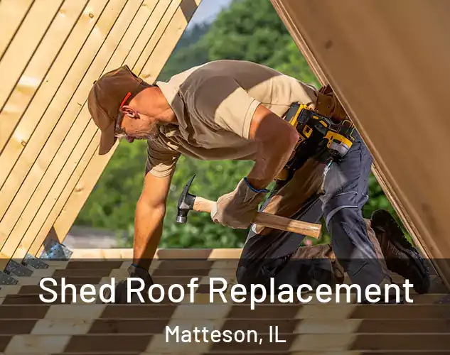  Shed Roof Replacement Matteson, IL