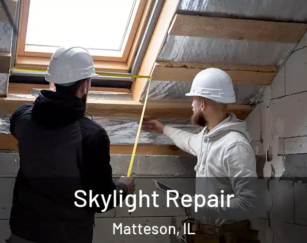  Skylight Repair Matteson, IL