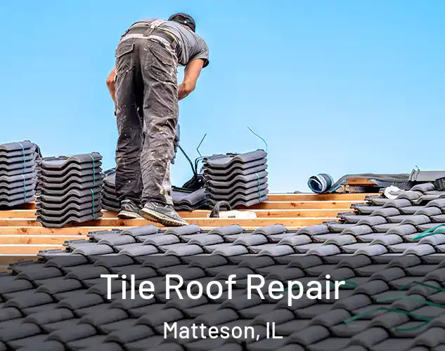  Tile Roof Repair Matteson, IL