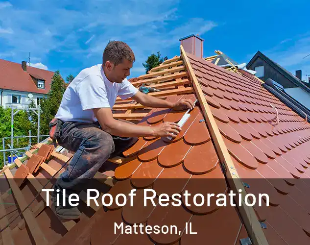  Tile Roof Restoration Matteson, IL
